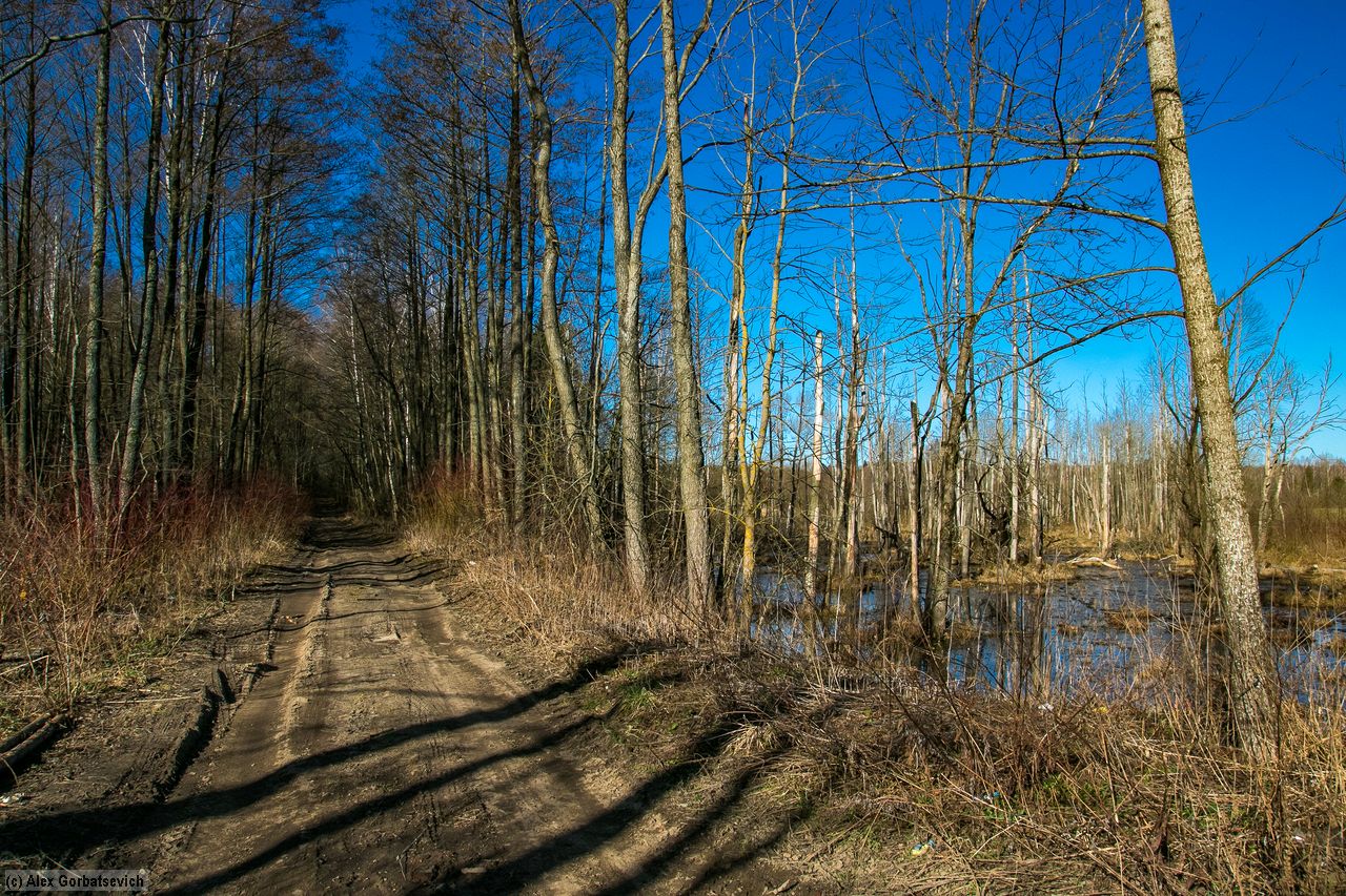 ���������� ������