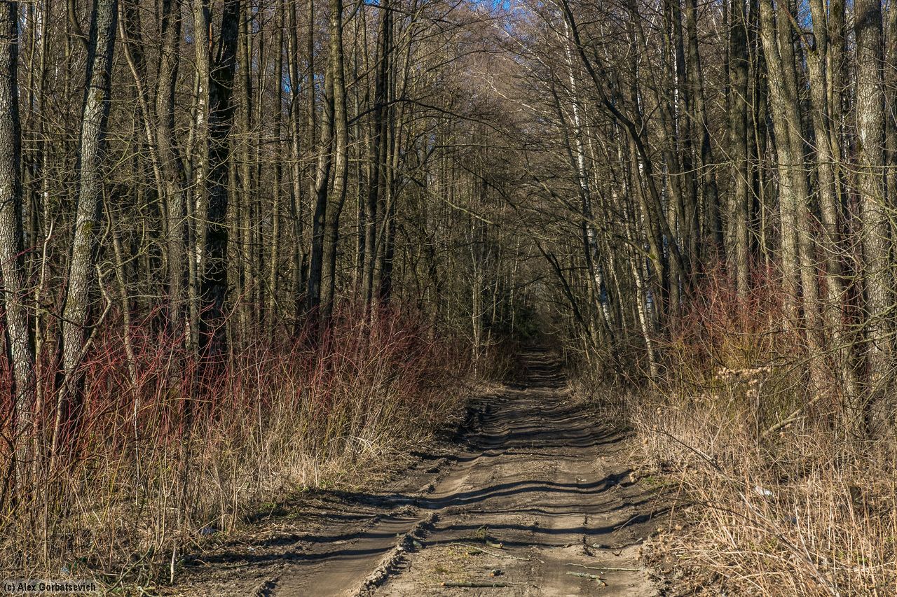 ���������� ������