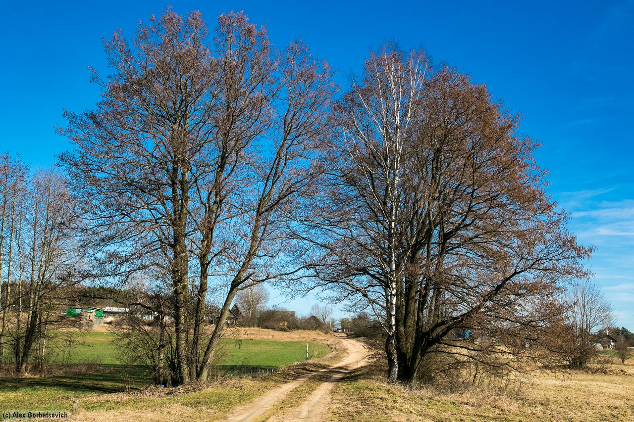 ������ �������