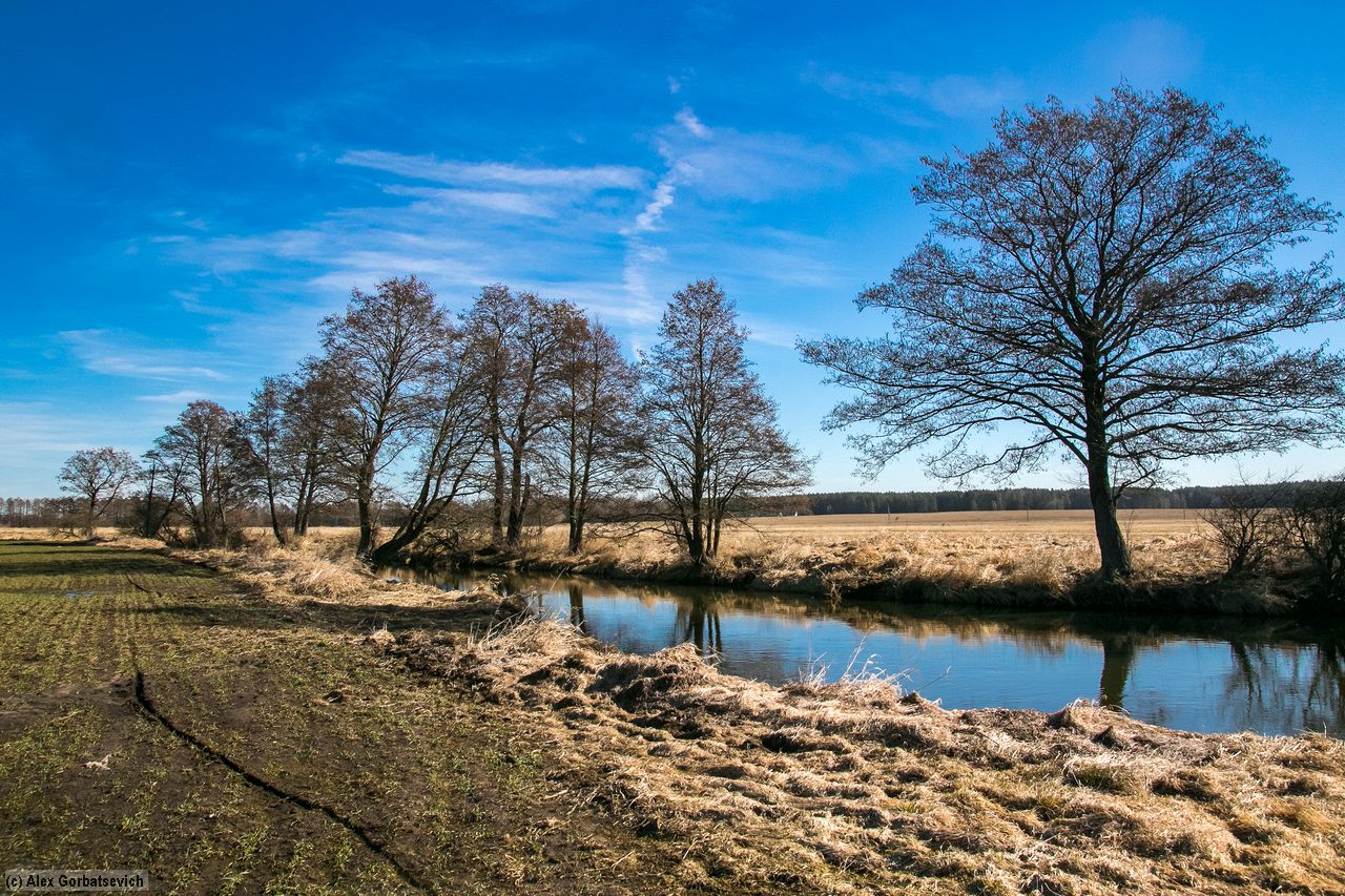 ���� � �������