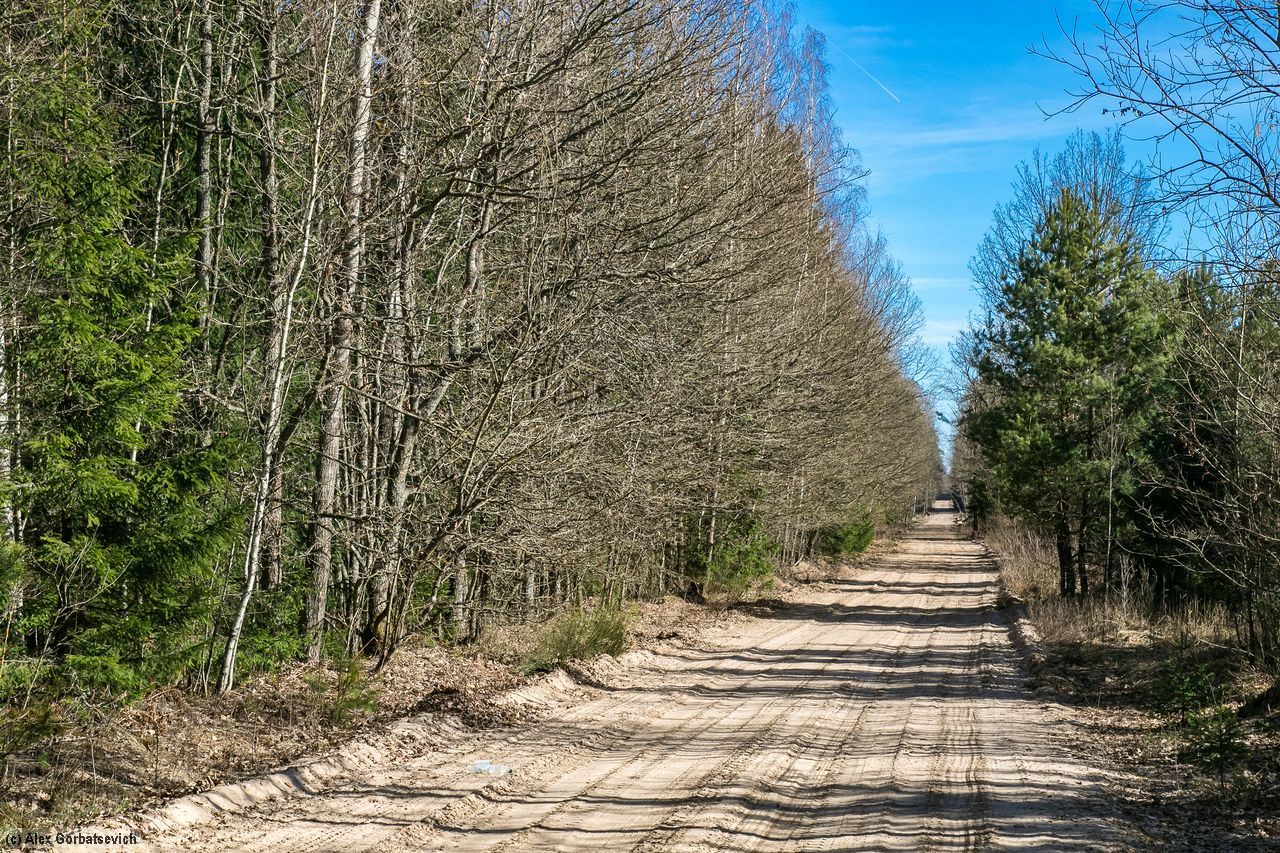 �������� ������