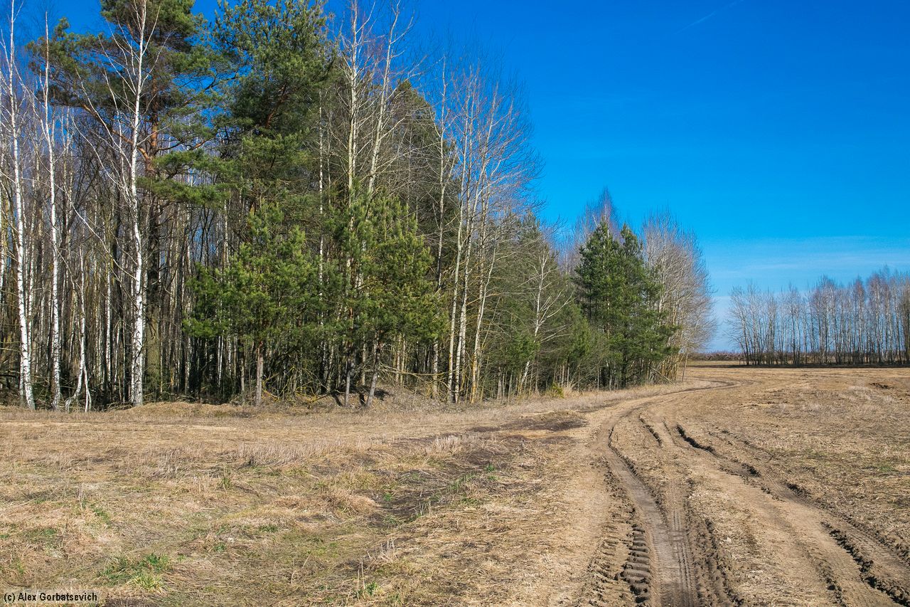 ������� ������