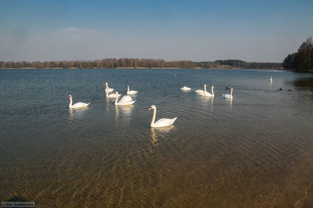 ��������� �����