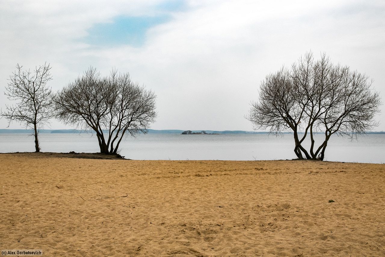 �� ������