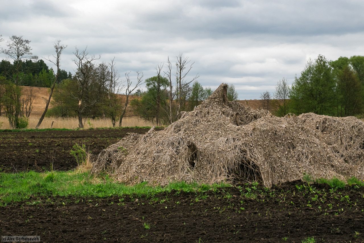 ��� ���������