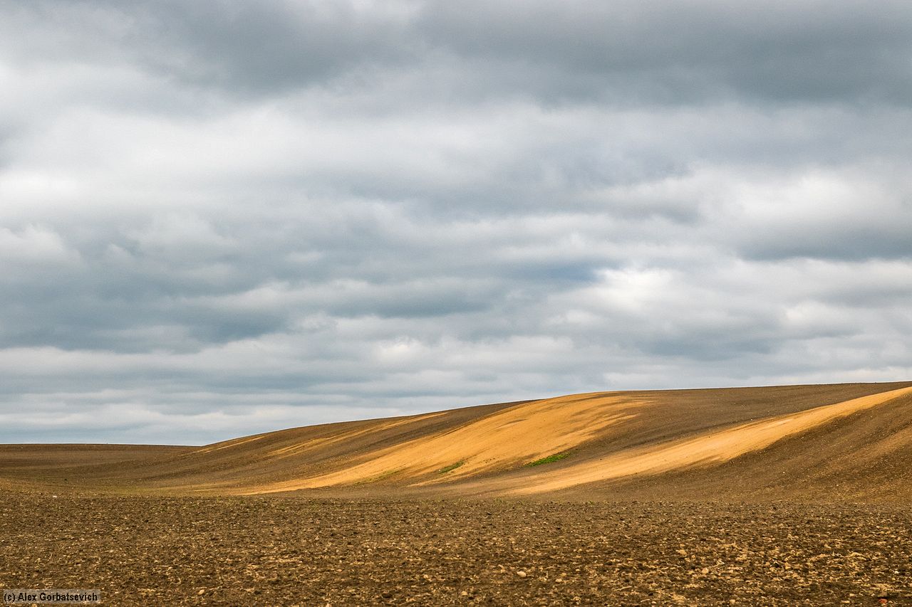 windows XP. ������ �����