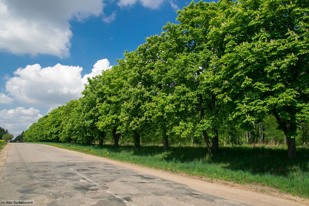 ���������� �����