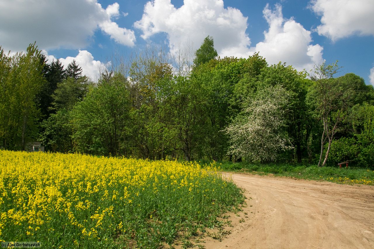 ������� � �����