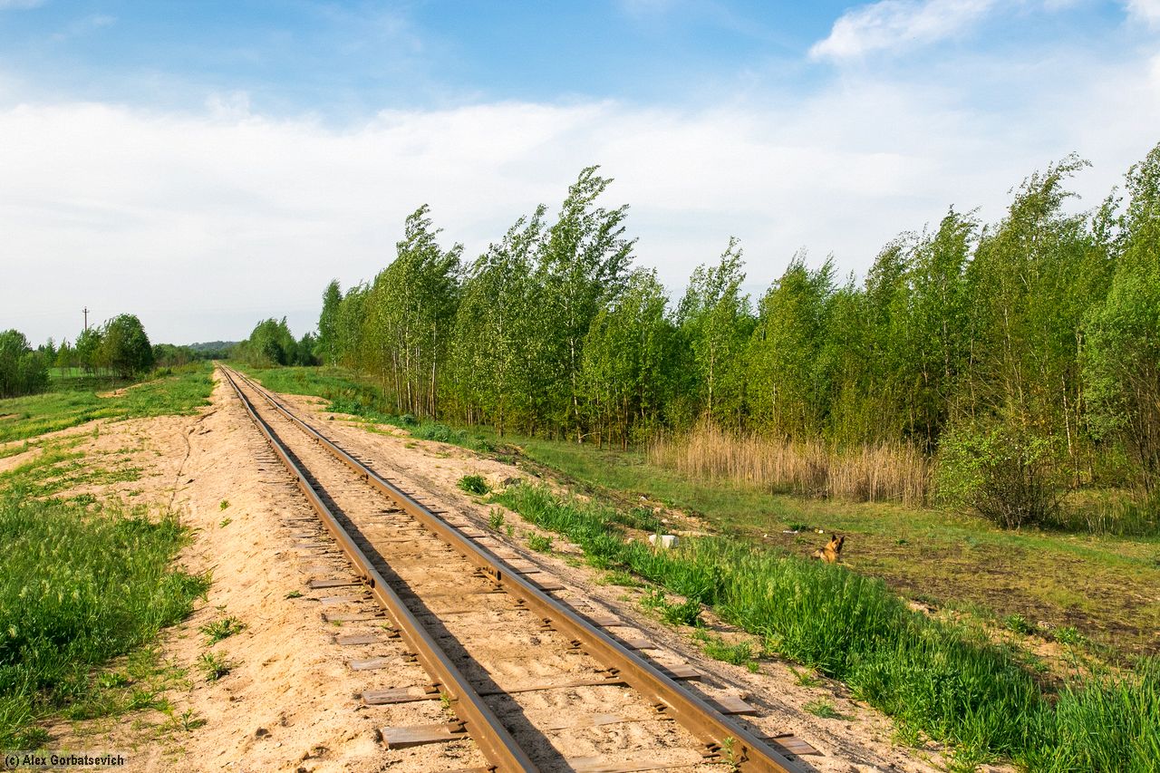 ����������� ���