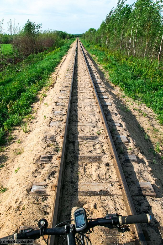 ����������� ���