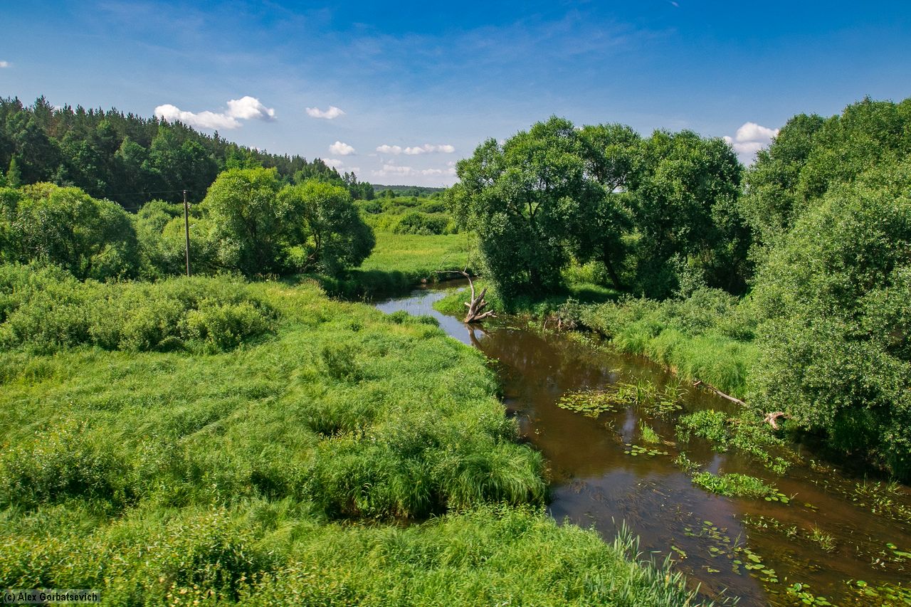 �. ������