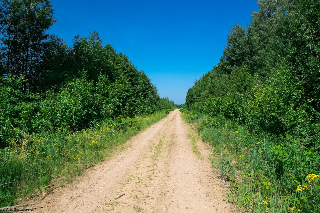 �������� ������