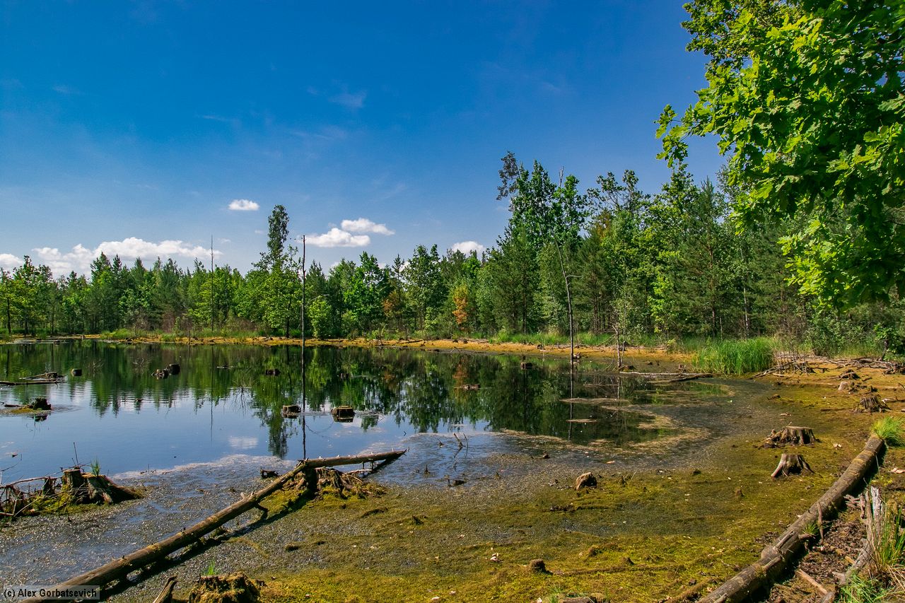 ������ ������