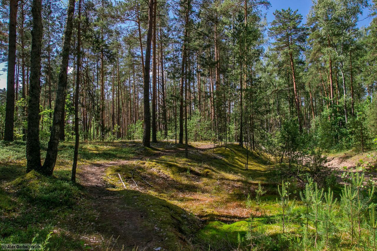 �������� ��� �������