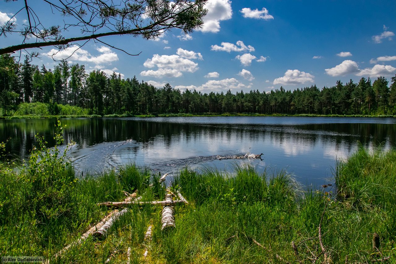 ������ �������