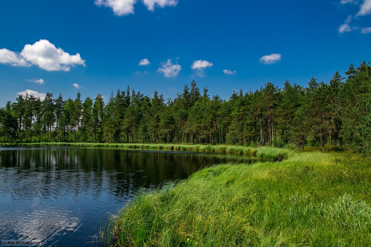 ��. ��������