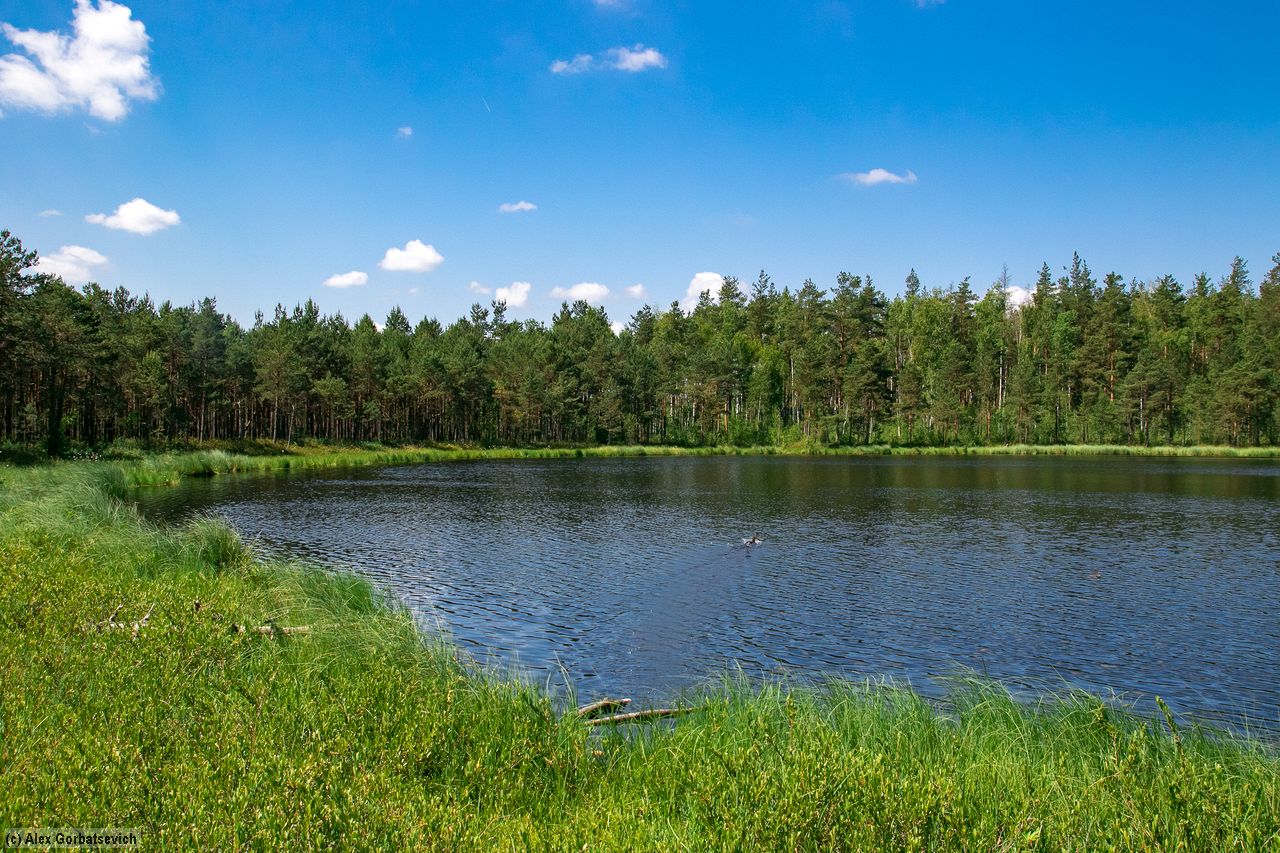 ��. ��������