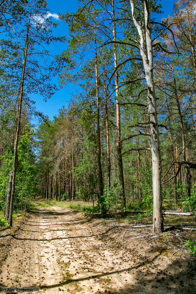 �� ������