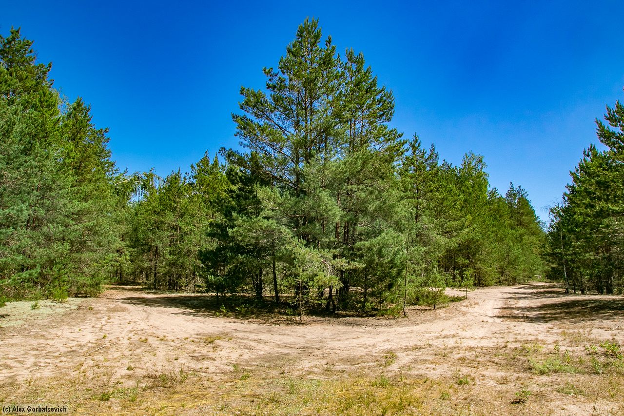 ����������� ������