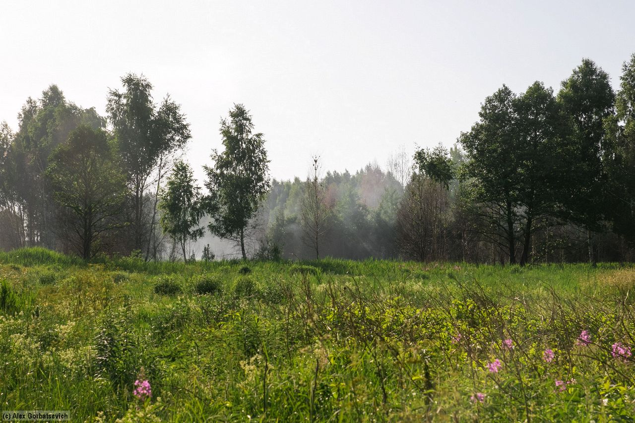 smoke on the peat swamp