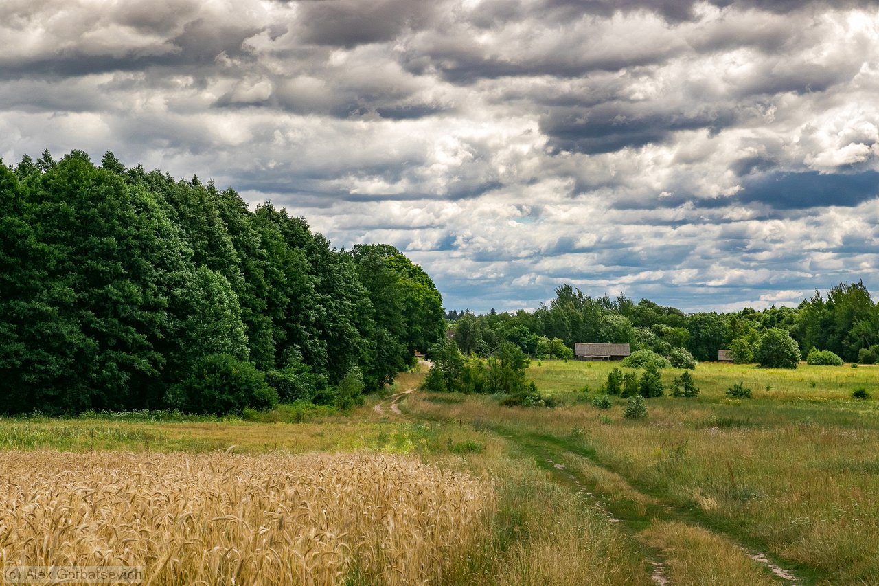 �� ������ �������