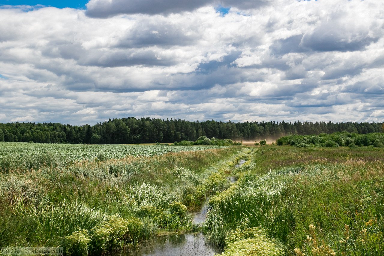 ������� ����