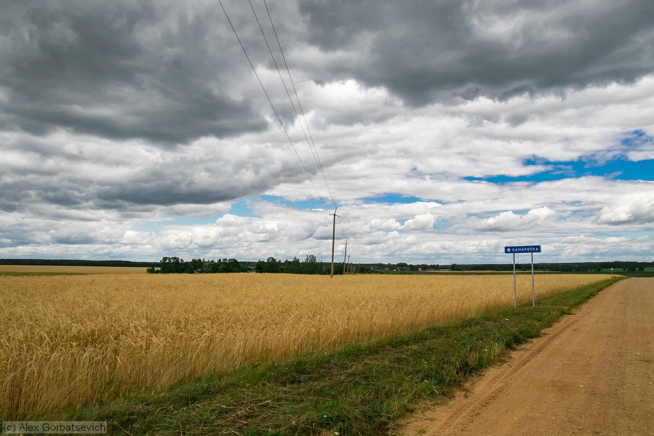 �� ���������  ������