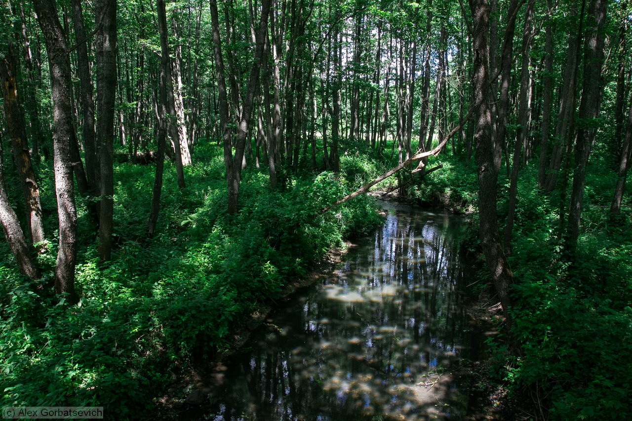 �. �����