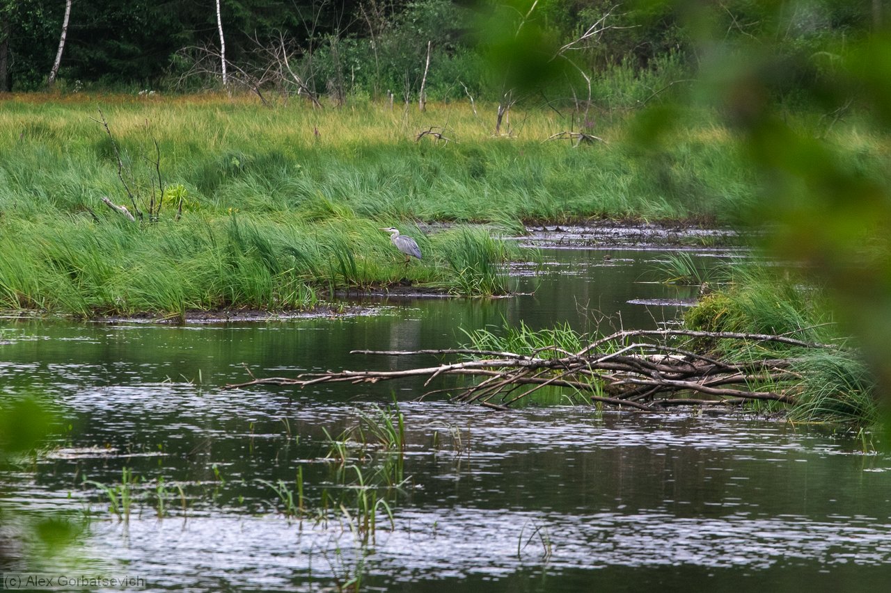 ����� ����� � ����