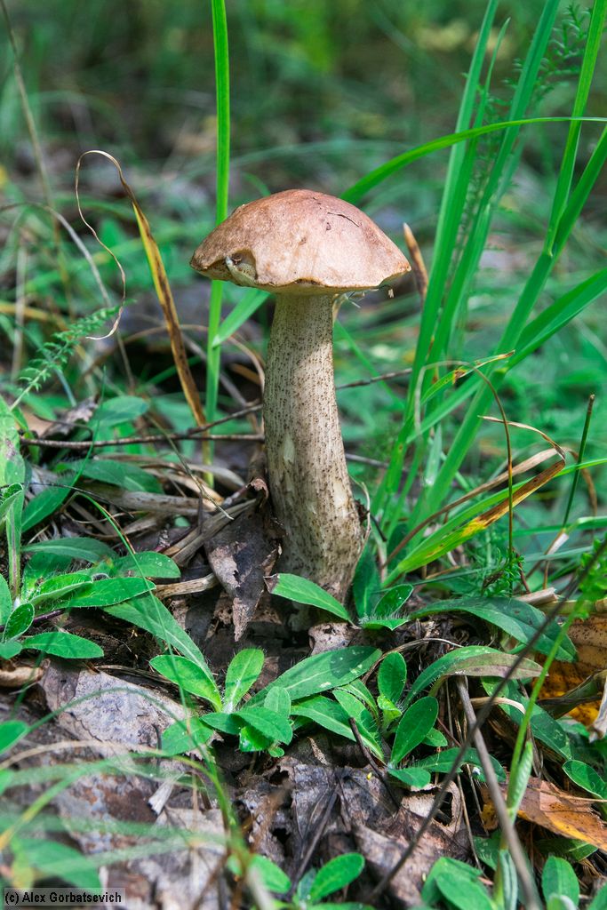 ������������