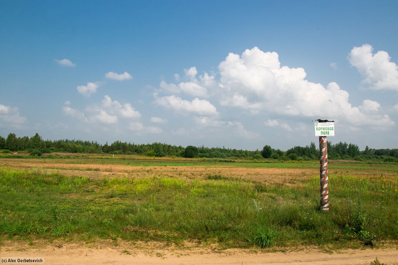 �������� ����