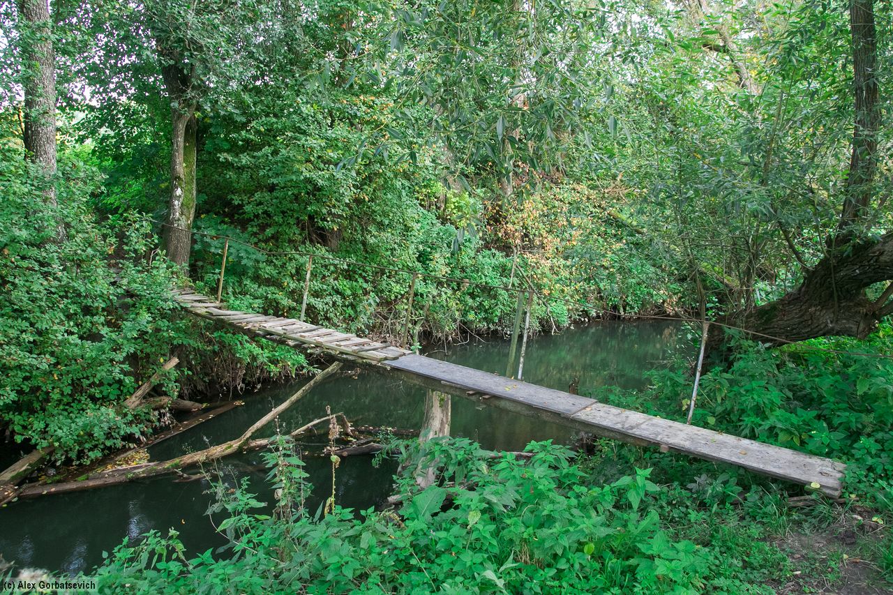 ������ �����������