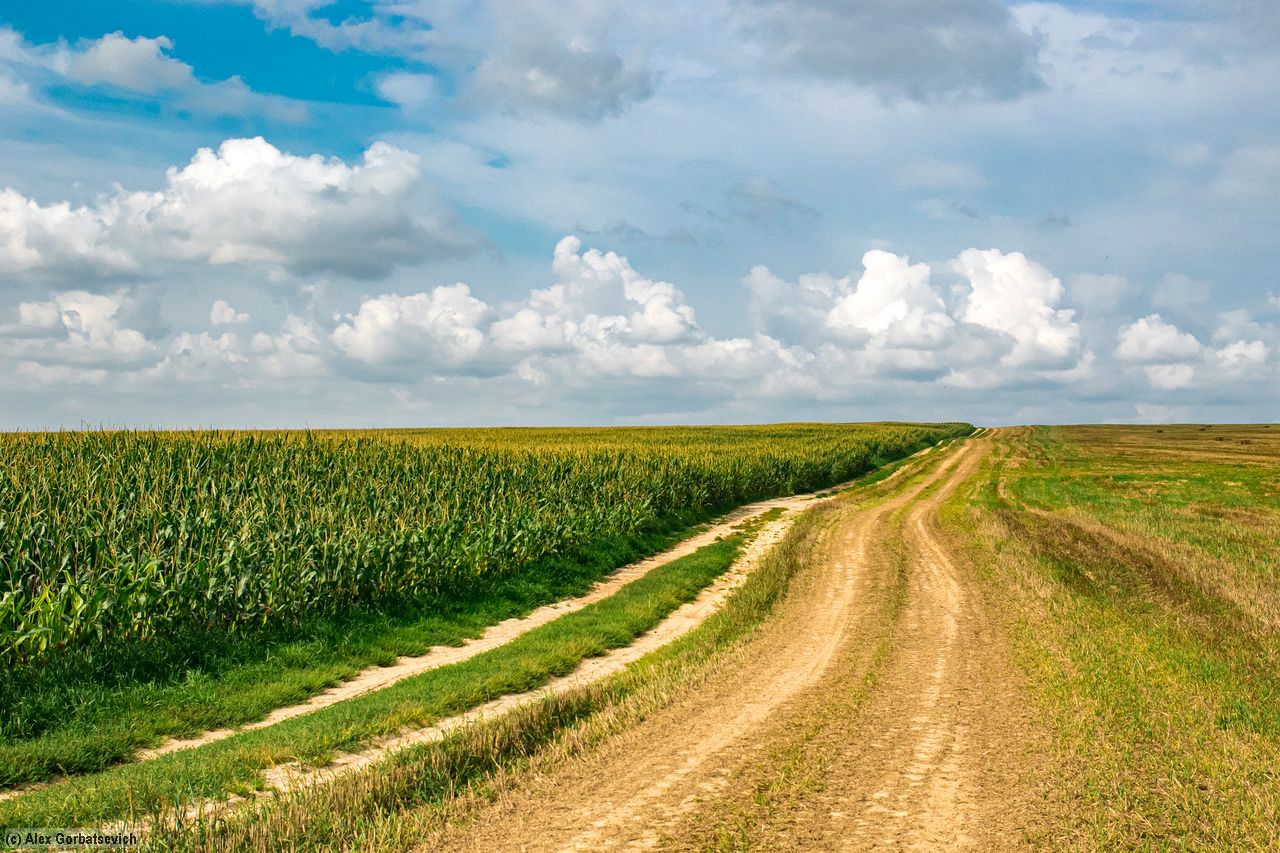 ������� ������