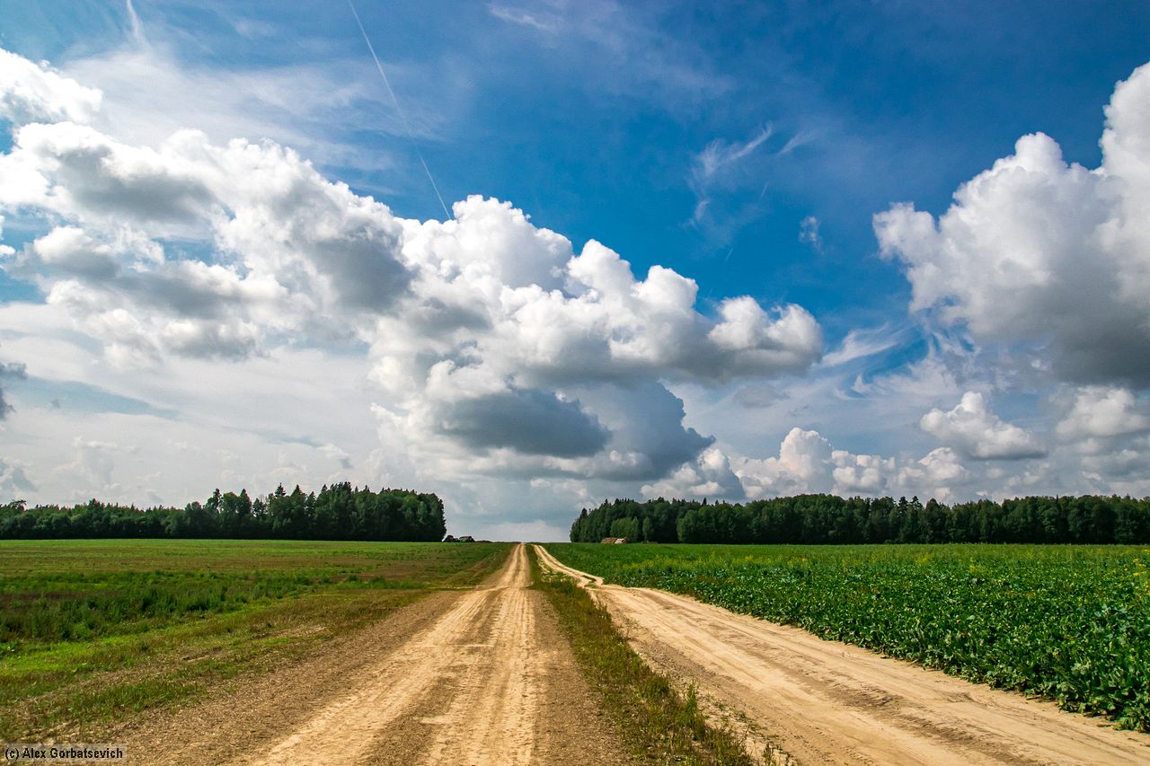 ������� �������