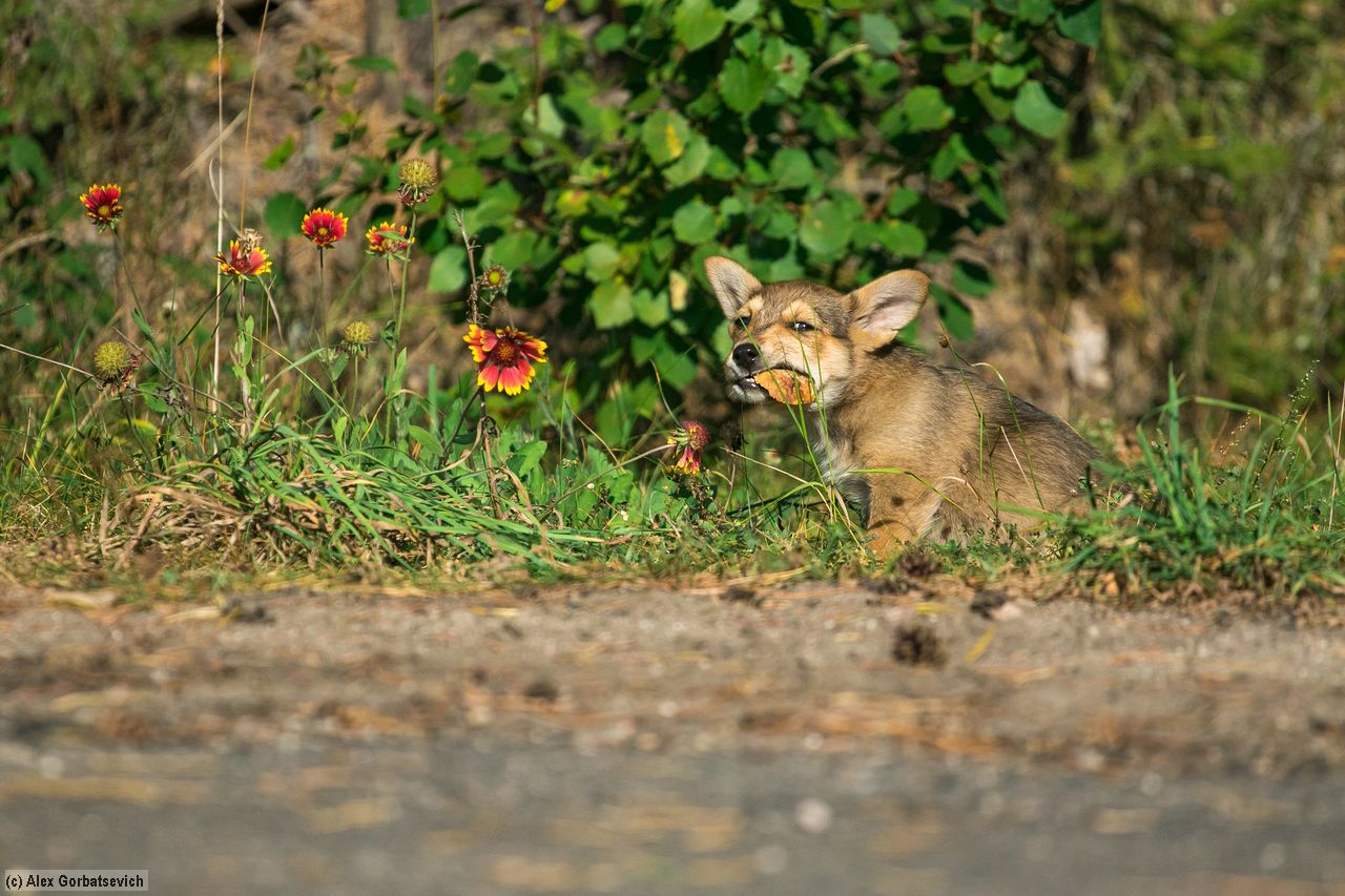 �� �������. ����� �����!