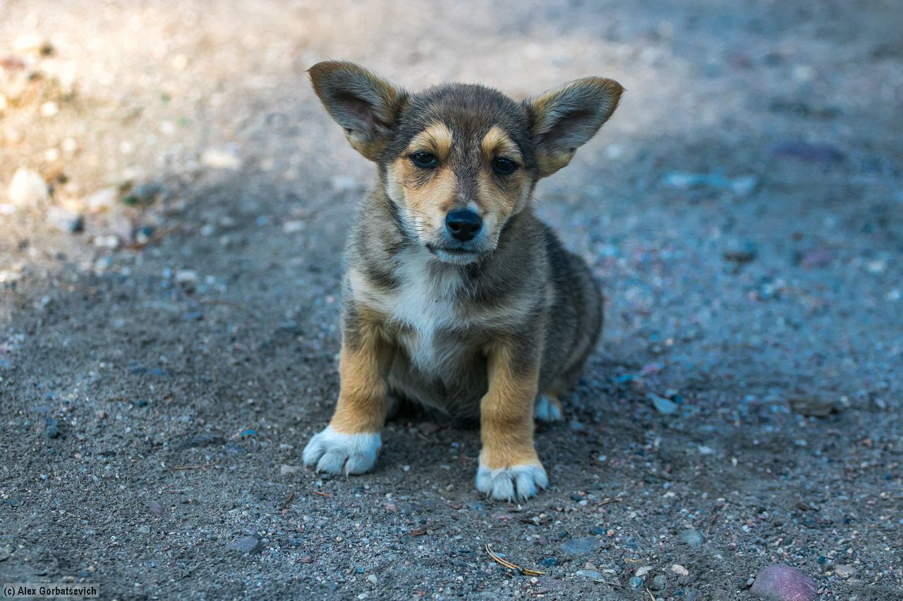 � ��� ������� ����?. �?