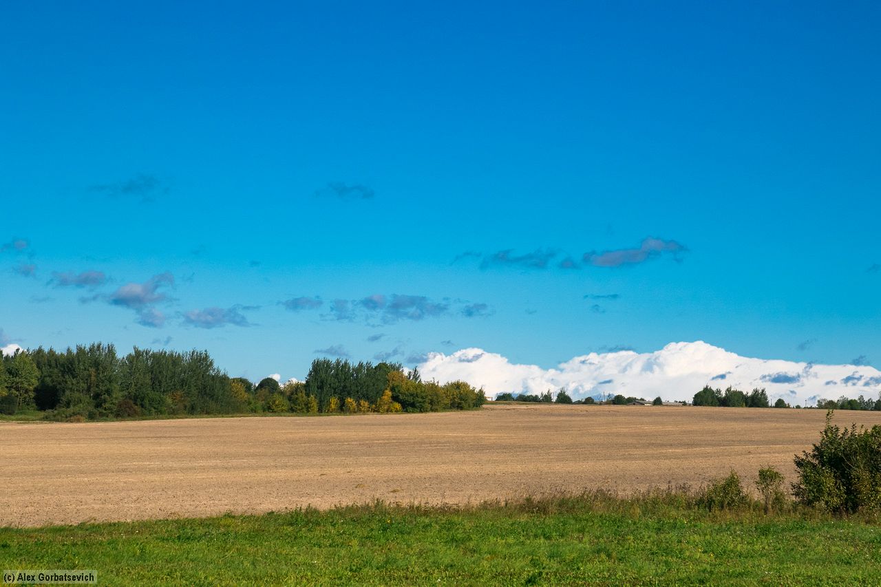 ����. ������� ����