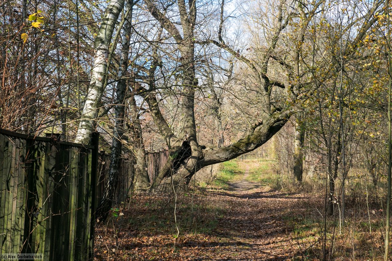 ����� ������