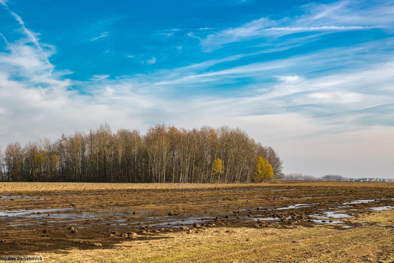 ���.. �� ���� ���