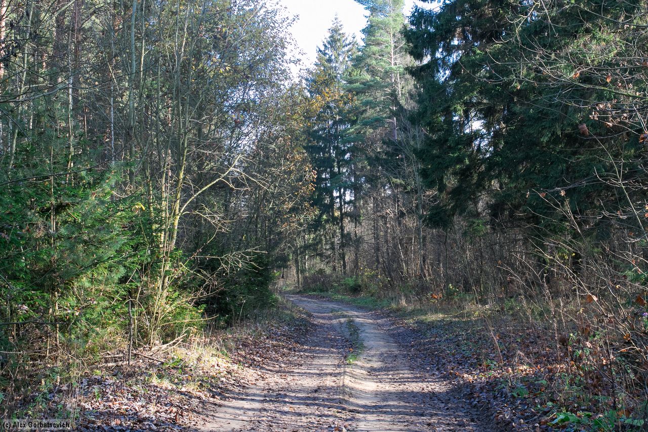 ������ ������