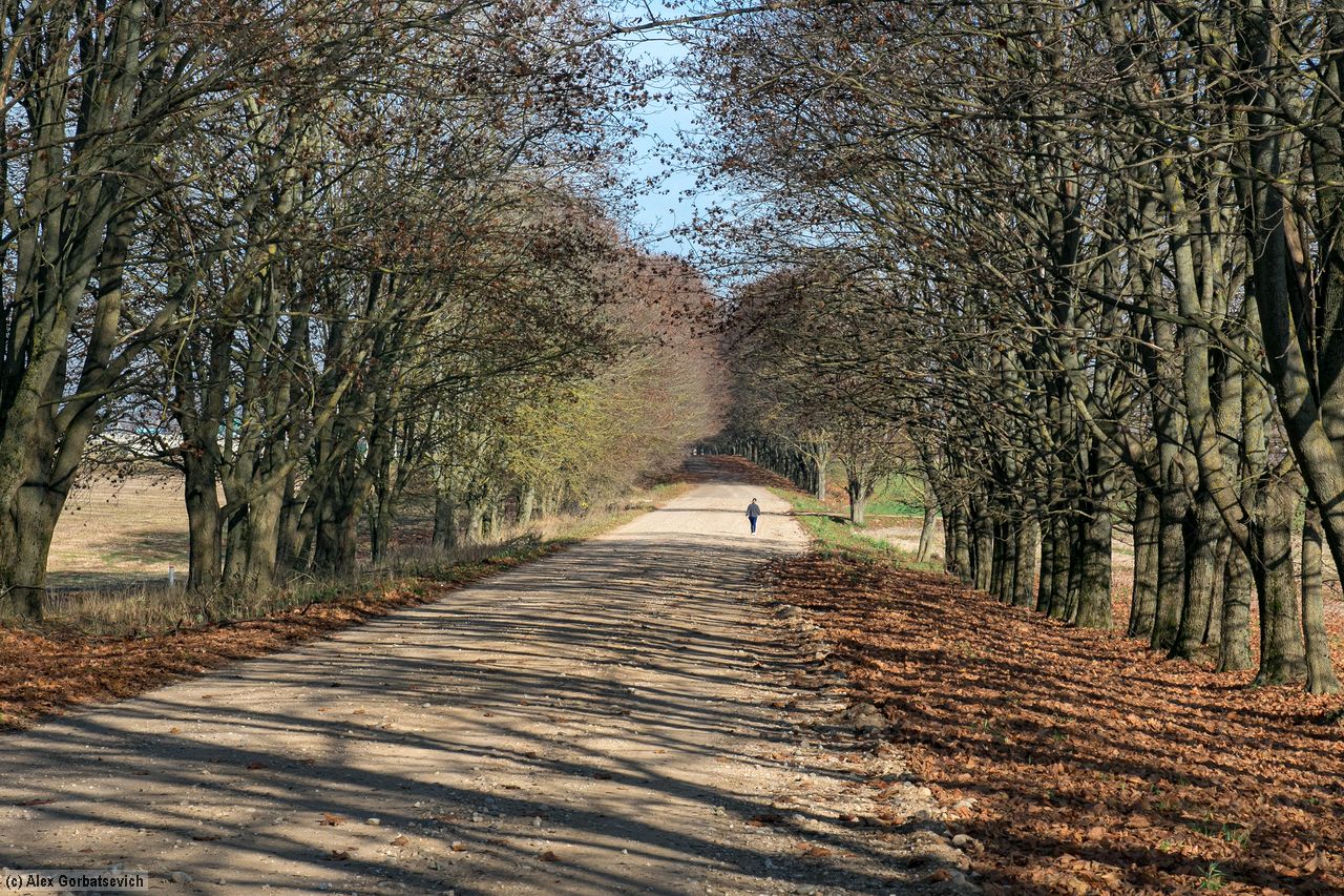 �������