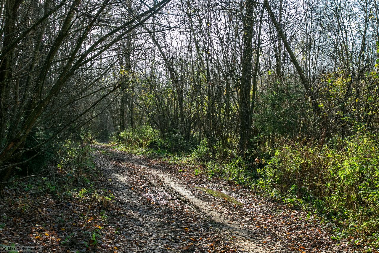 ������� �������