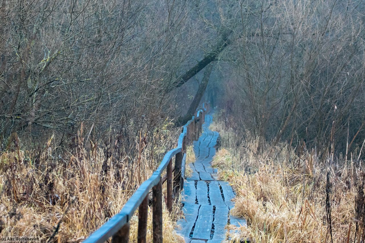 ������ ��� ����