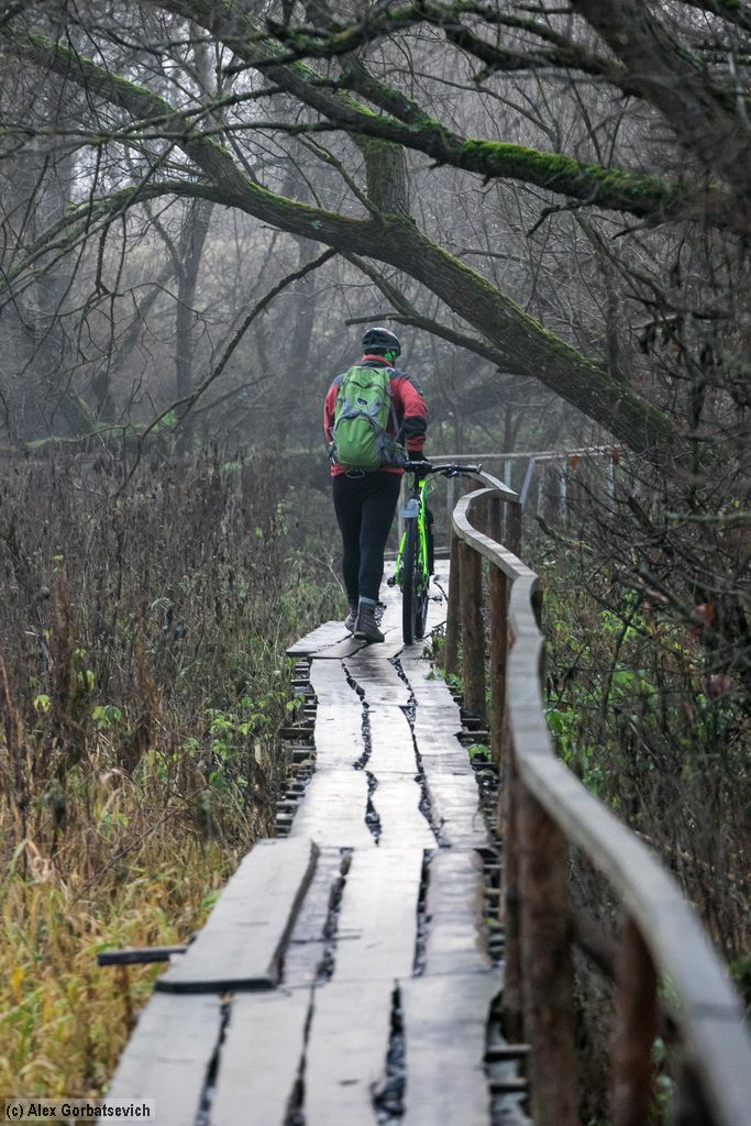 �� �������