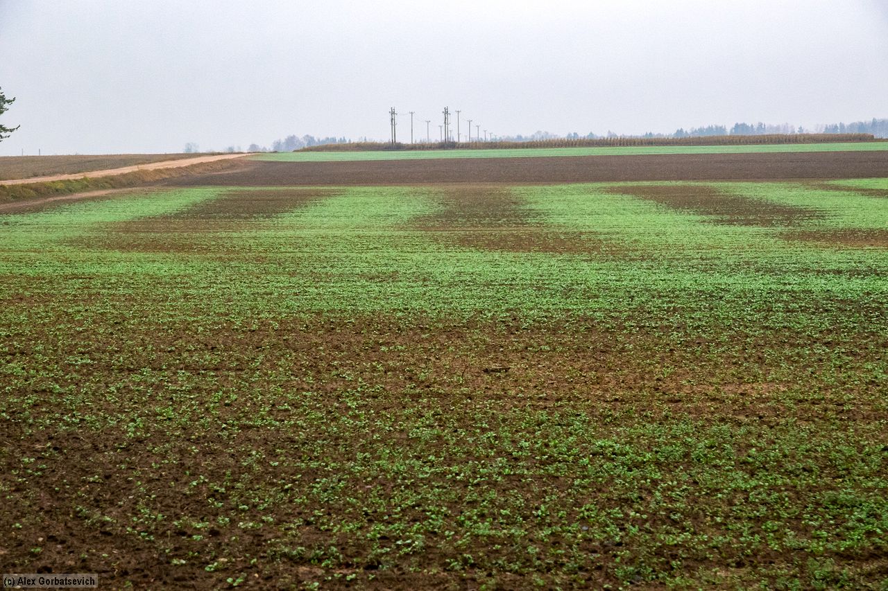 ��������� ����