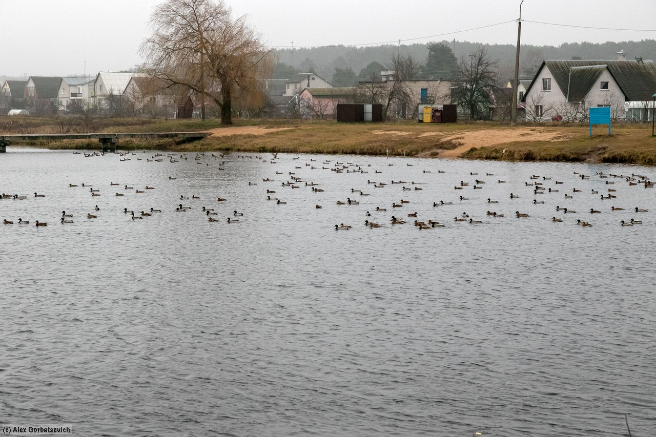 ��� ������� �� �����