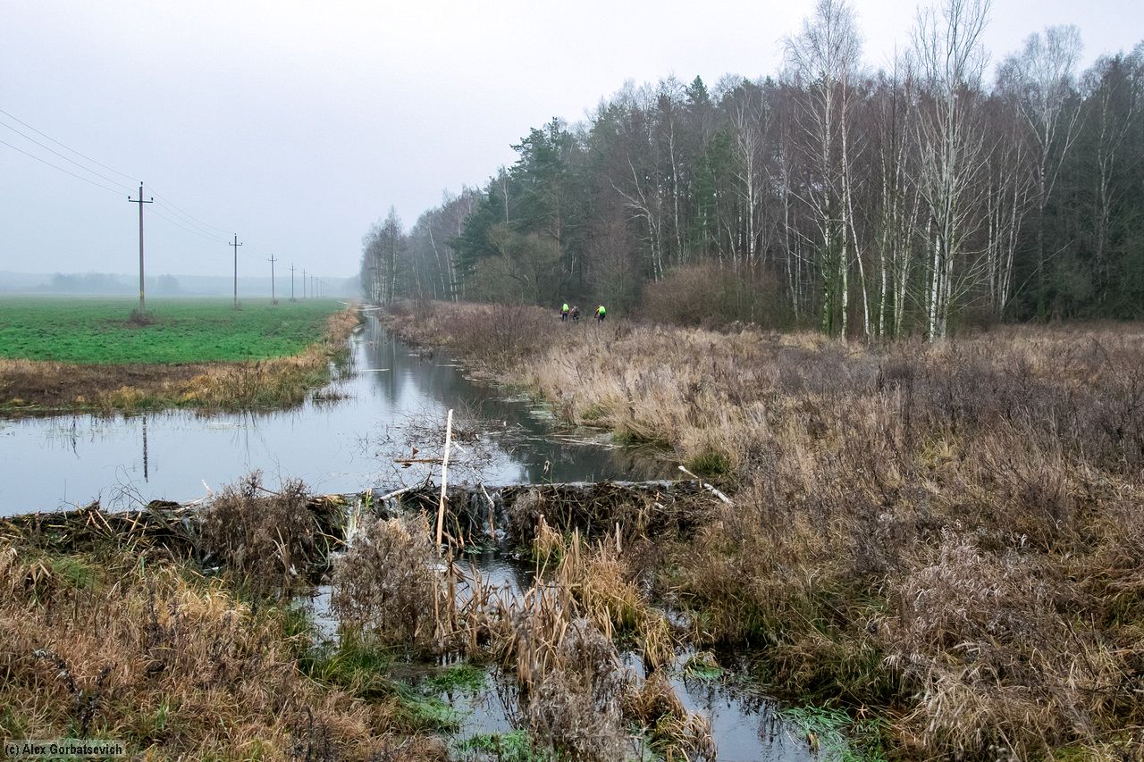 ����� ������