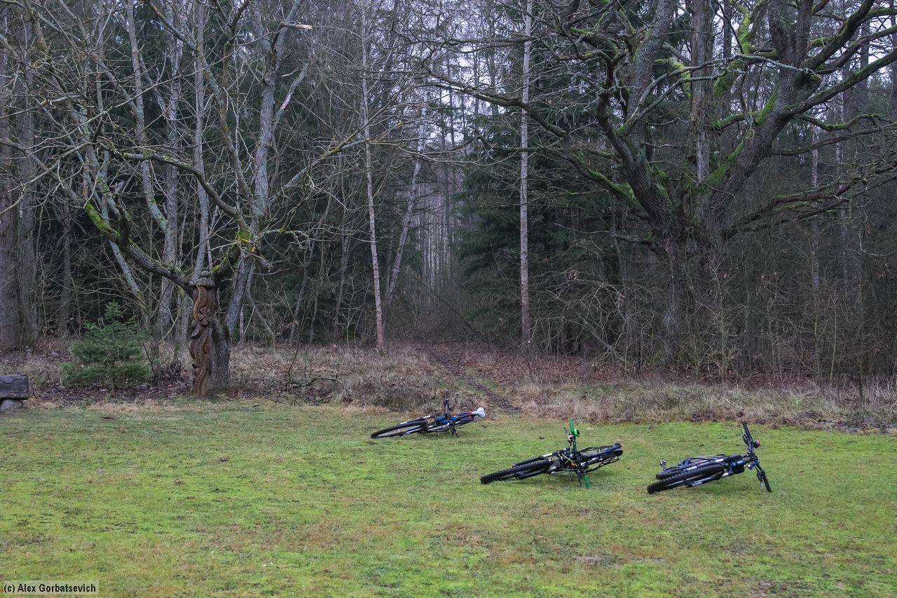 ���� �� ������� ������