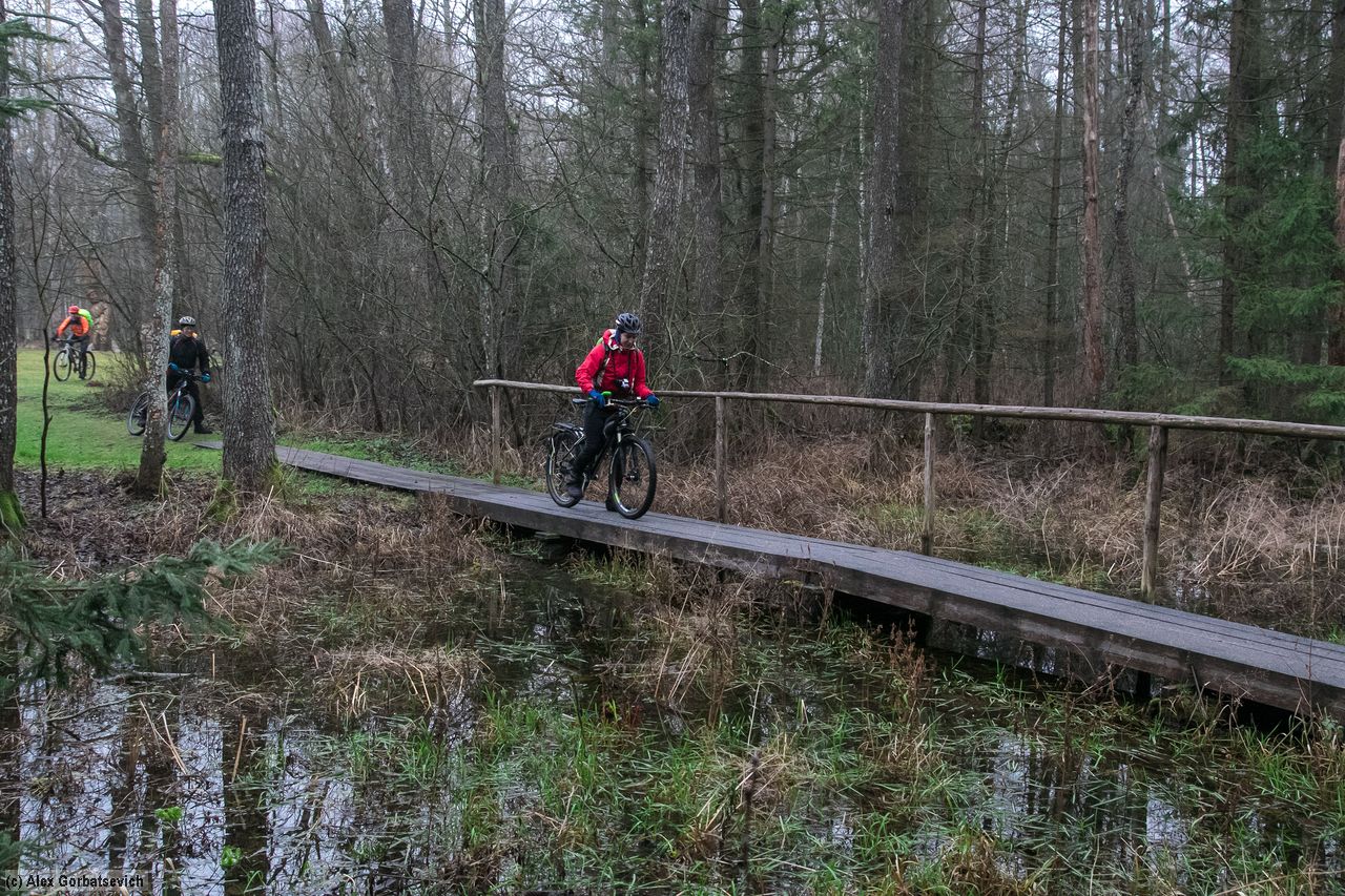 �� �������