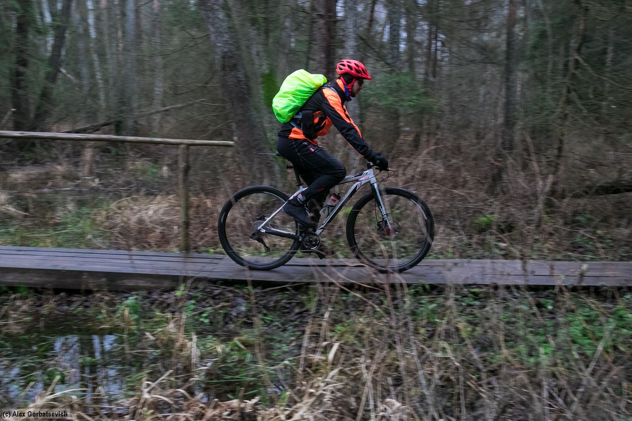 �� �������